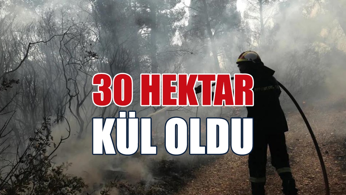 30 Hektardan Fazla Bir Alan Kül Oldu