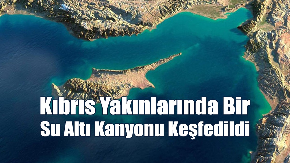 İsrailli Bilim İnsanları Kıbrıs Yakınlarında Bir Su Altı Kanyonu Keşfetti