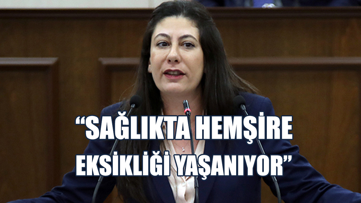 İncirli: Kapasitenin Üzerinde Hasta Var, Bu Da Sorunlara Yol Açıyor