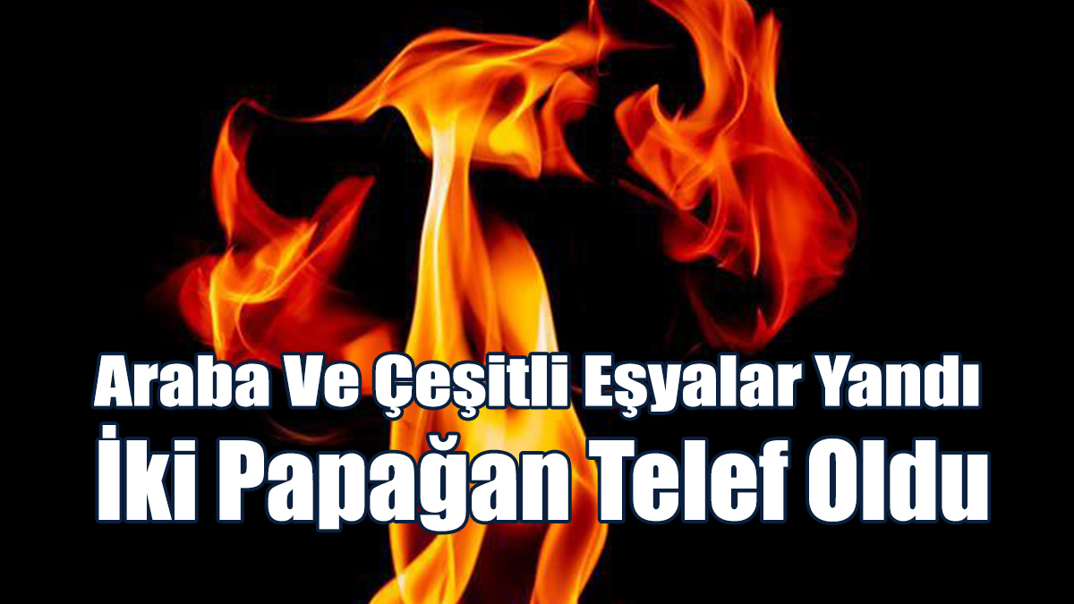 Gazimağusa ve Lefkoşa’da Yangın