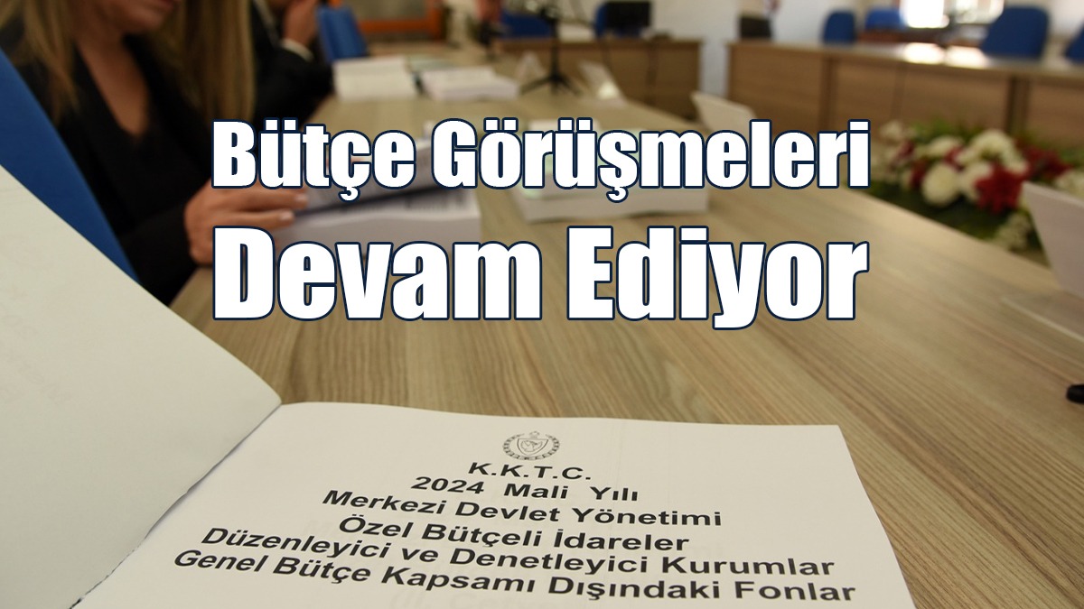 Kamu Hizmeti Komisyonu Başkanlığı Bütçesi Ele Alınıyor