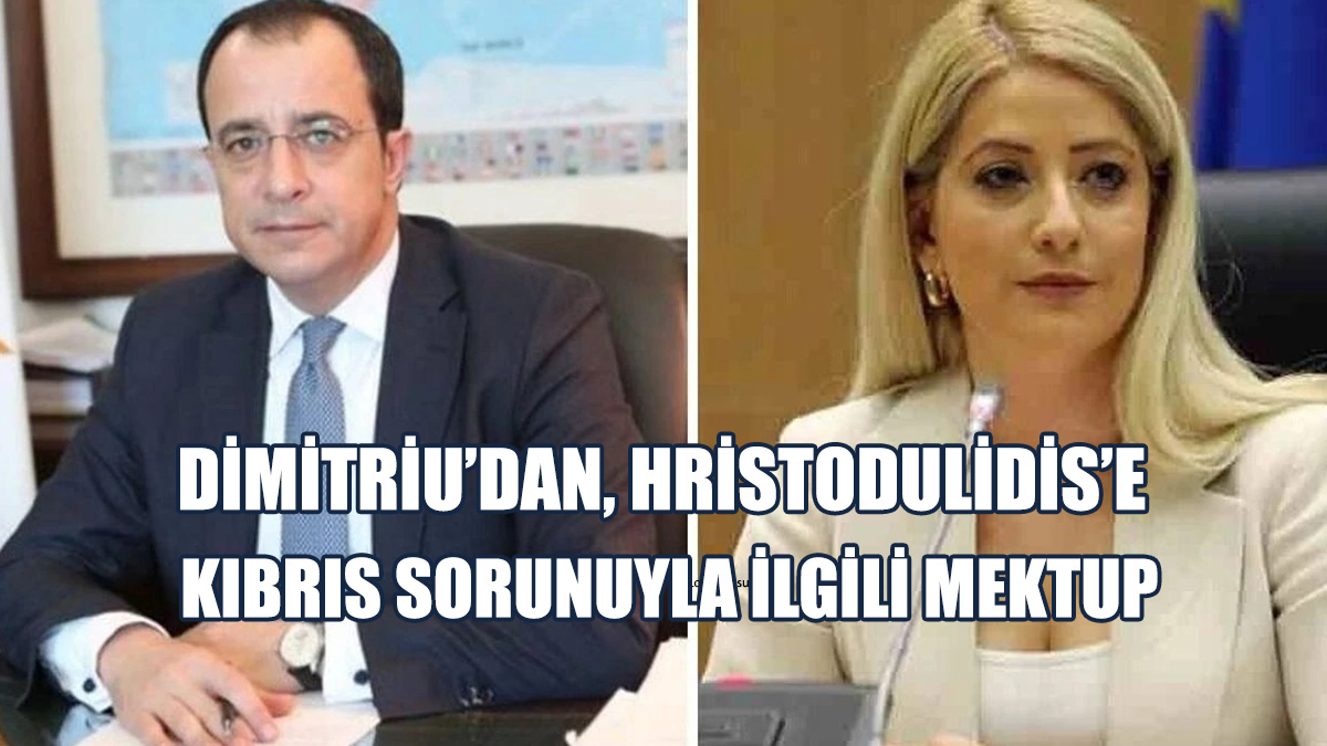 Dimitriu, Sürecin Hızlandırılması Adına Bazı Önerilerde Bulundu