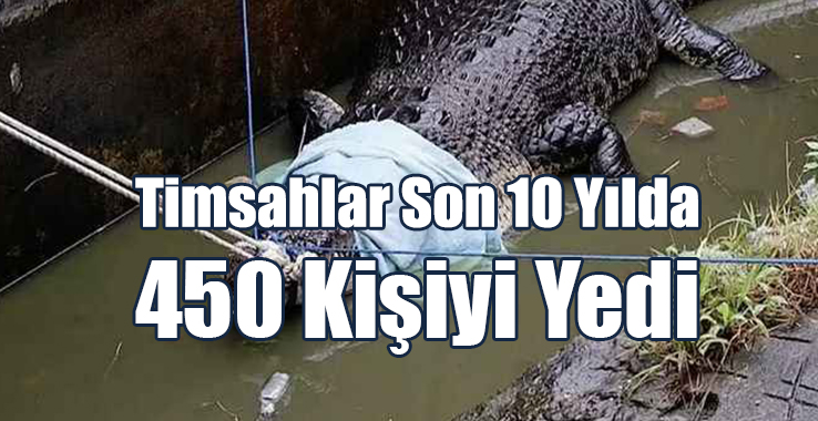 Endonezya’da Timsahlar Son 10 Yılda 450 Kişiyi Yedi