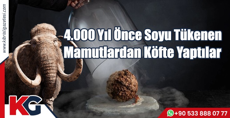 Soyu Tükenmiş Mamutlardan Köfte Yaptılar