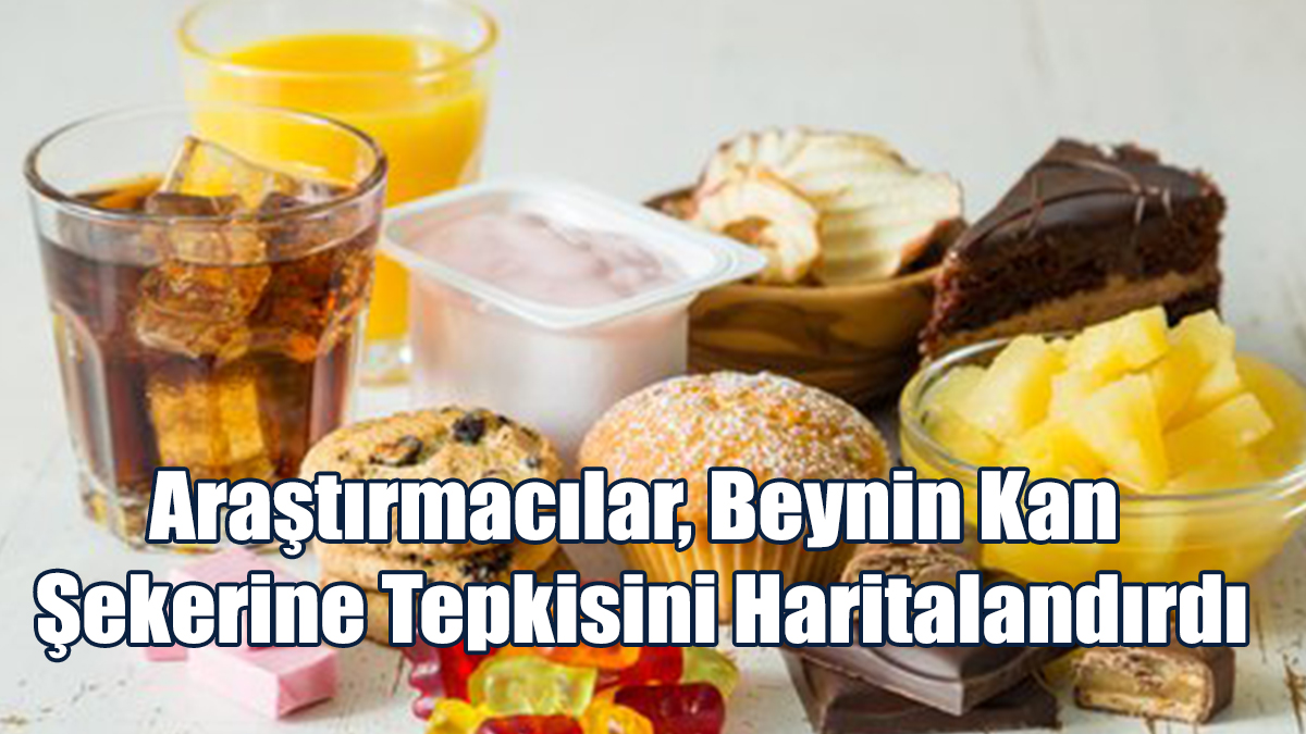 Araştırmacılar, Beynin Kan Şekerine Tepkisini Haritalandırdı