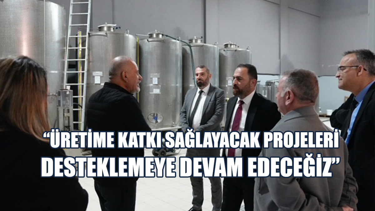 Çavuş, Zeytin Ve Zeytin Yağı Sektörünün Daha İleriye Taşınabileceğini Söyledi
