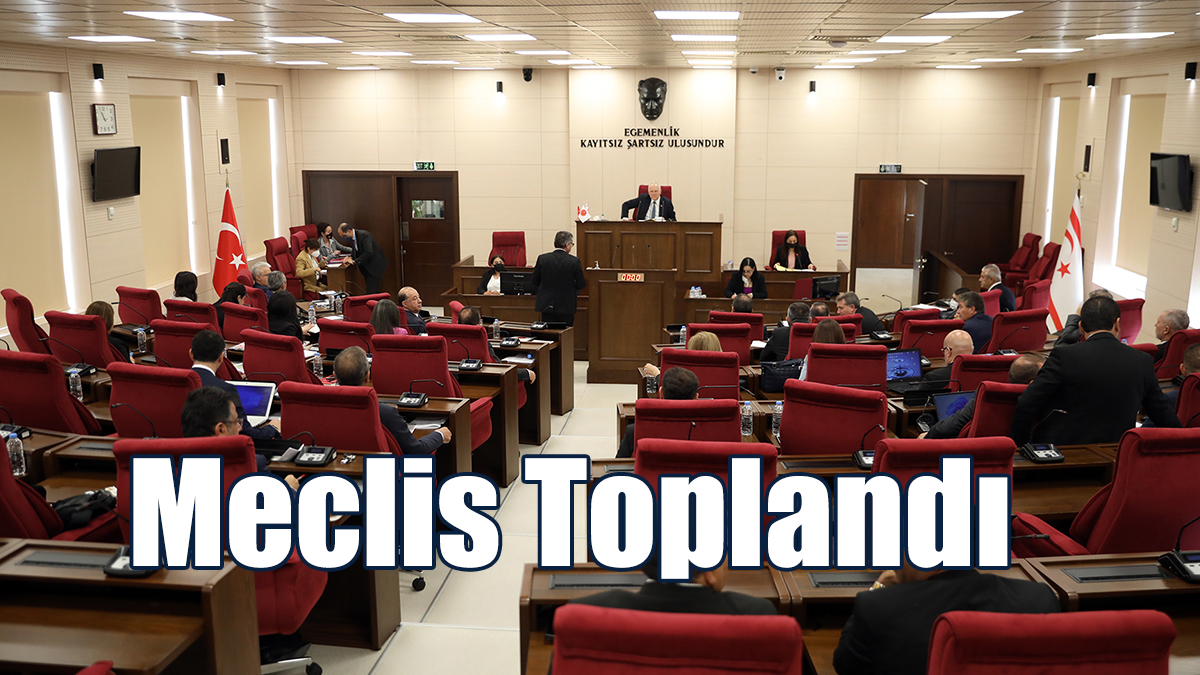 Meclis Denetim Göreviyle Toplandı