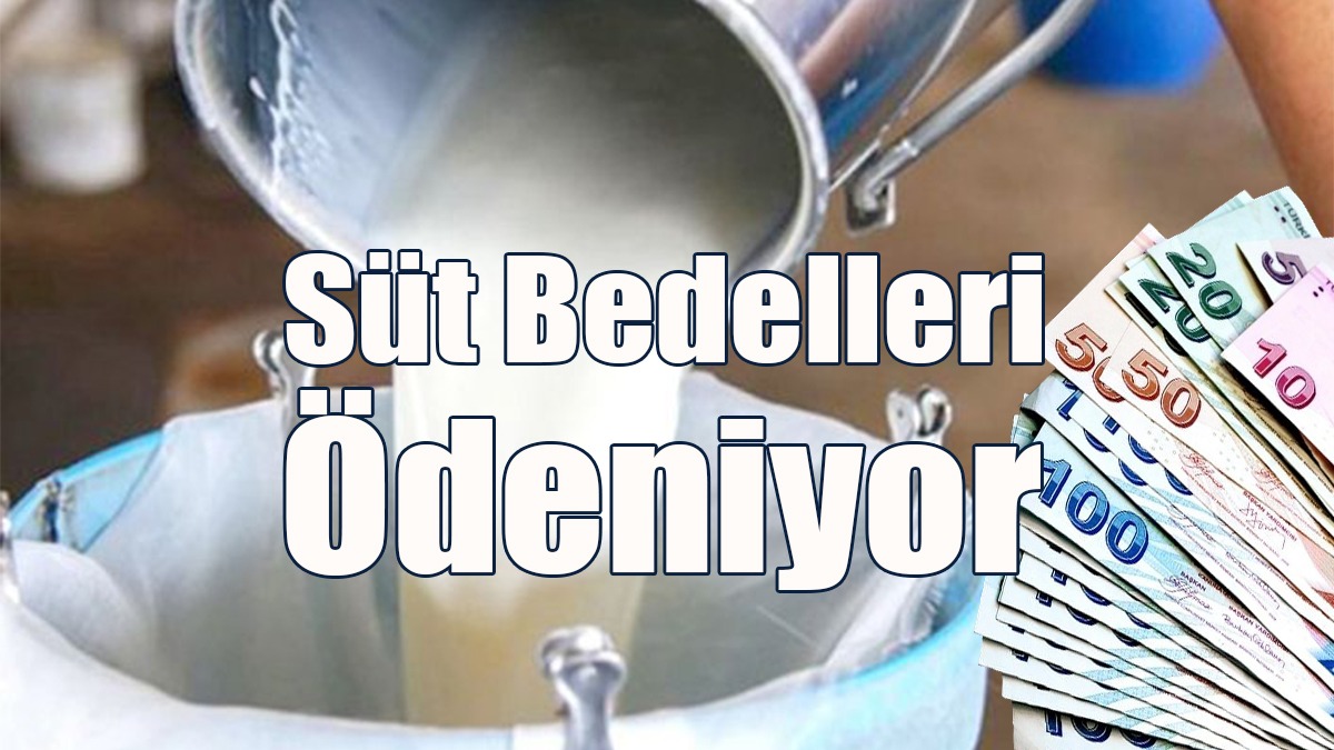 Süt Bedelleri Ödeniyor