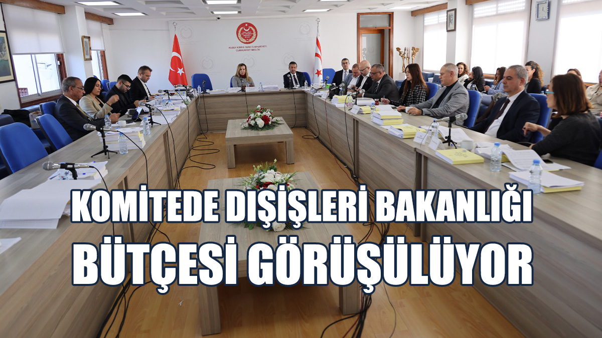 Komitede Dışişleri Bakanlığı Bütçesi Görüşülüyor