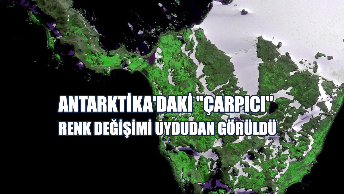 Antarktika'daki "Çarpıcı" Renk Değişimi Uydudan Görüldü