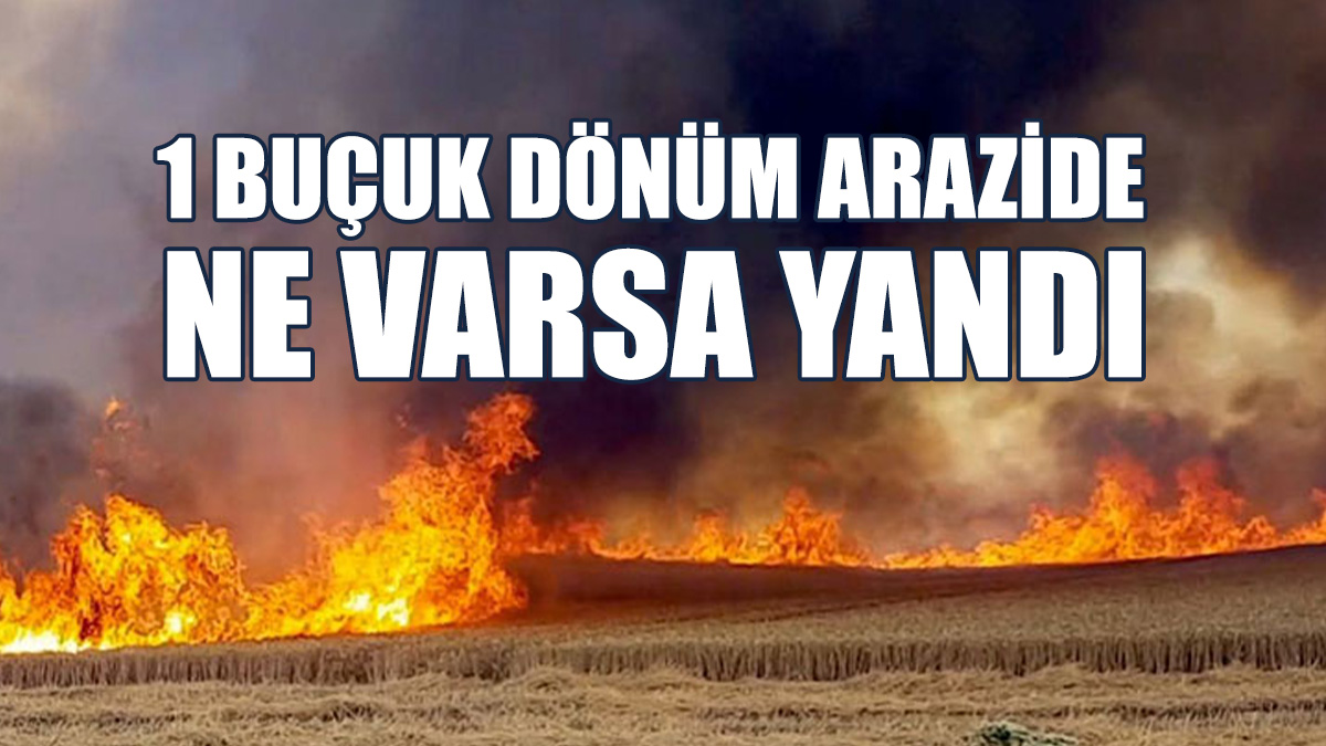 Vadili’de Yangın…