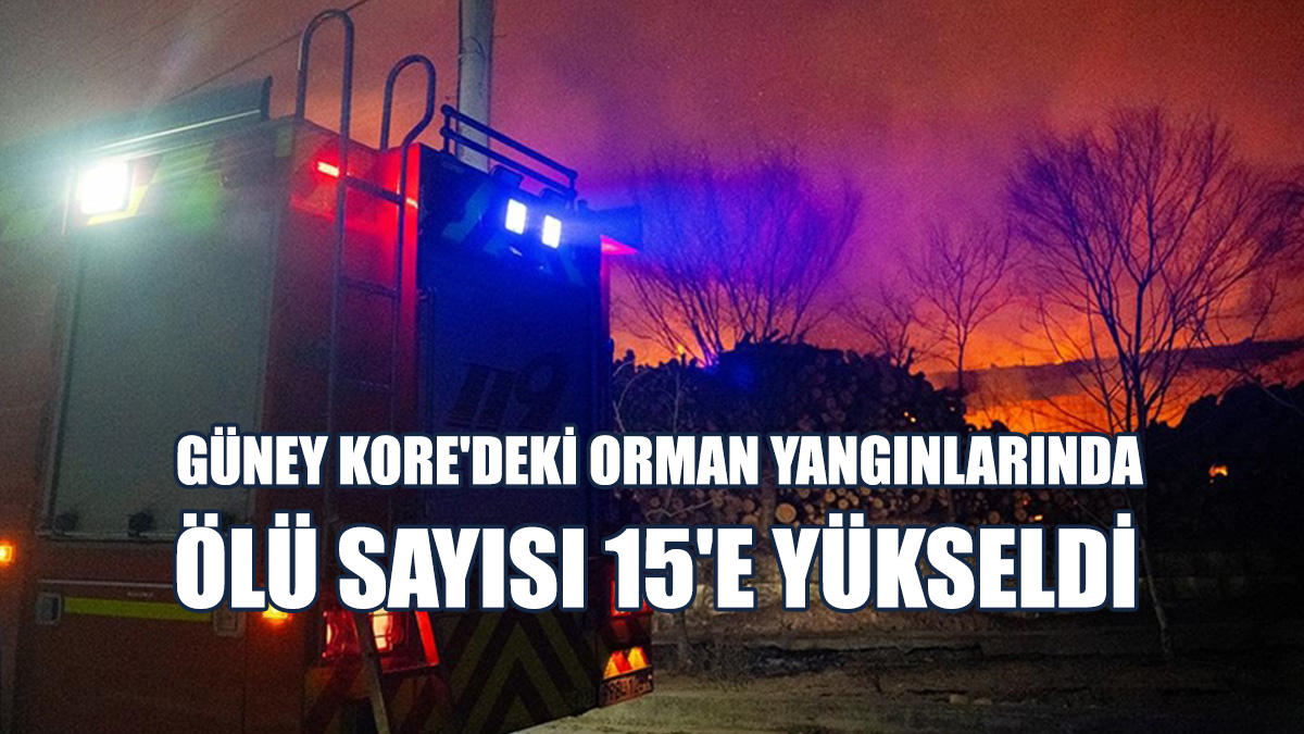 Güney Kore'deki Yangınlar Devam Ediyor
