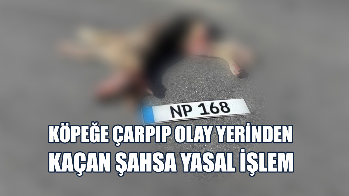 Köpeğe Çarpıp Kaçmıştı...