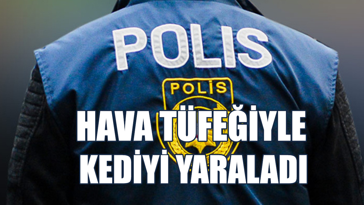 Kediyi Yaralayan Kişi Tutuklandı