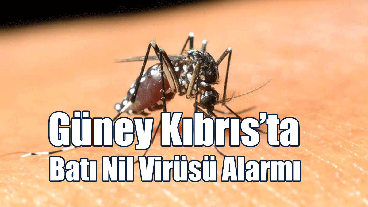 Güney’de Batı Nil Virüsü Taşıyan Bir Vaka Tespit Edildi