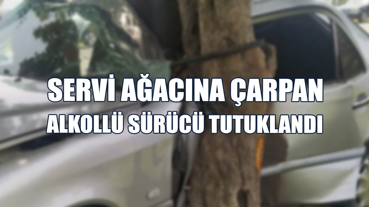 Araç Sürücüsü Tutuklandı...