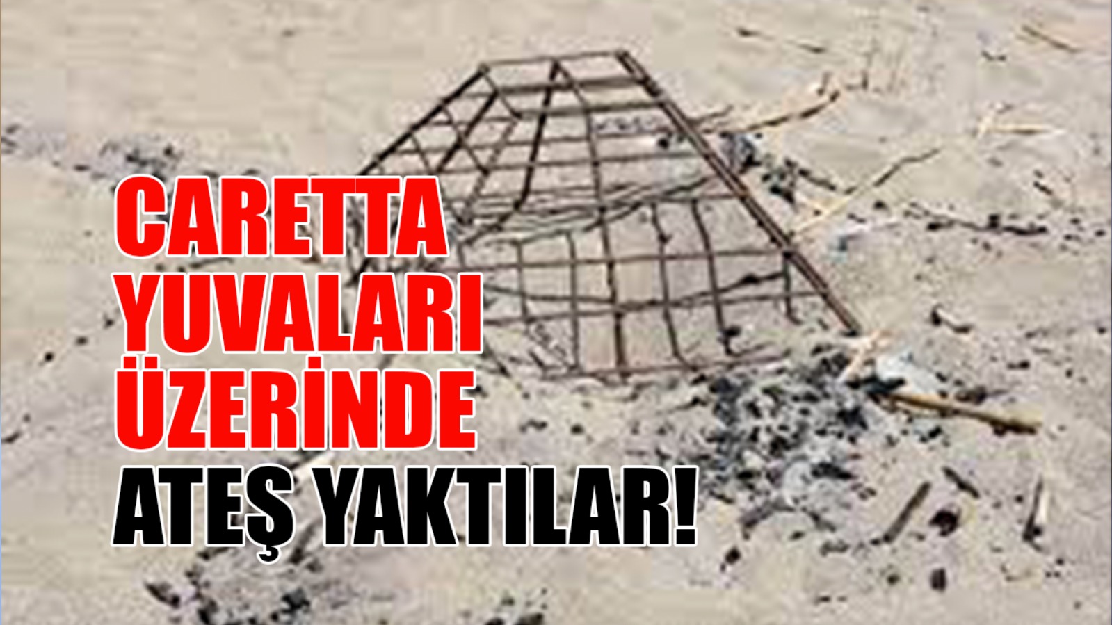 Caretta Yuvaları Üzerinde Ateş Yaktılar!