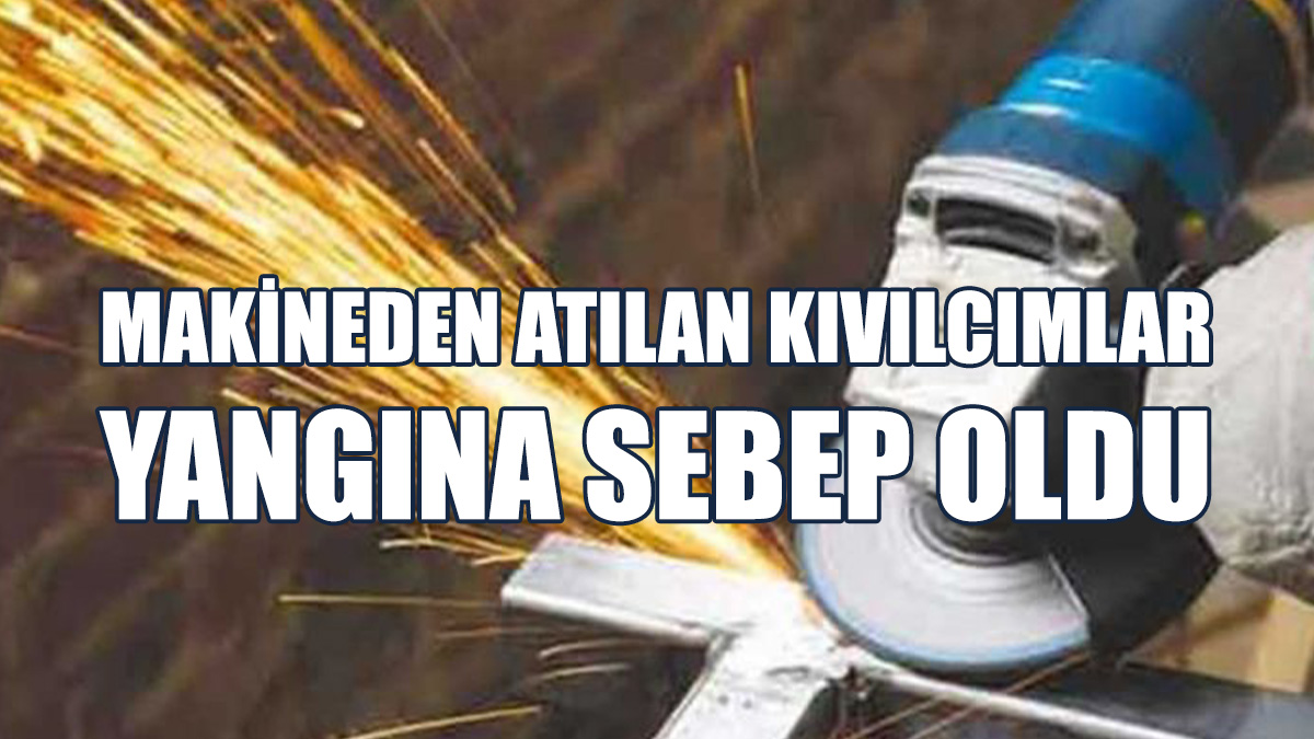 Tepebaşı'nda Yangın: Biçilmemiş Arpalar Yandı