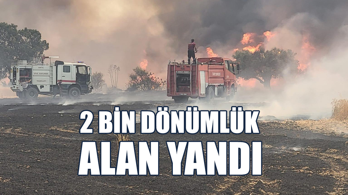 Yangında, Arpa, Buğday, Balyalar Ve Çok Sayıda Ağaç Yandı