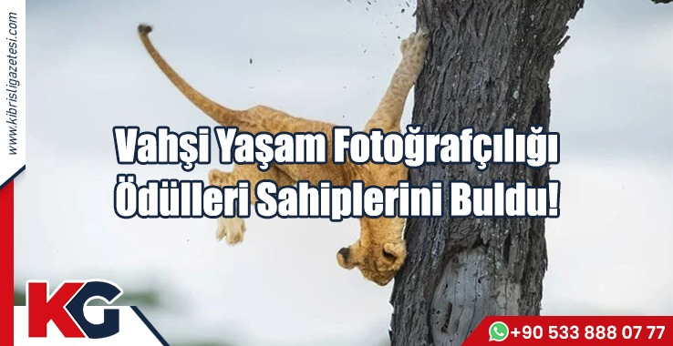 Vahşi Yaşam Fotoğrafçılığı Ödülleri Sahiplerini Buldu!