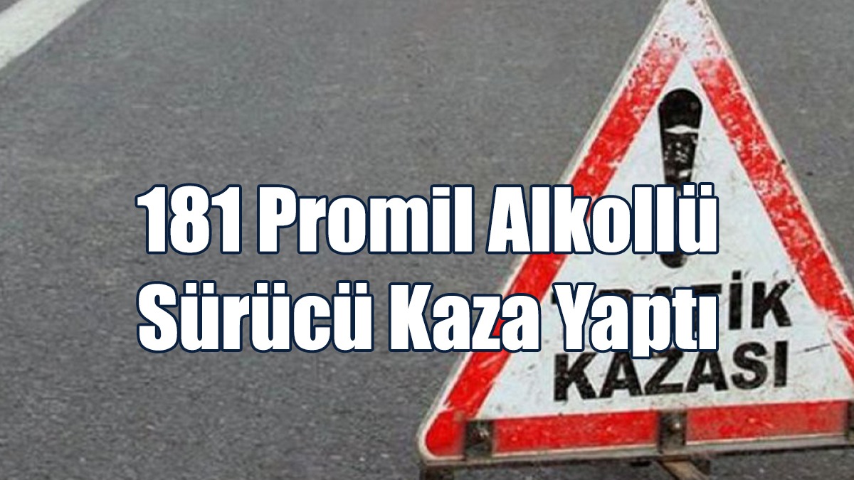 Elektrik Direğine Çarparak Durabildi