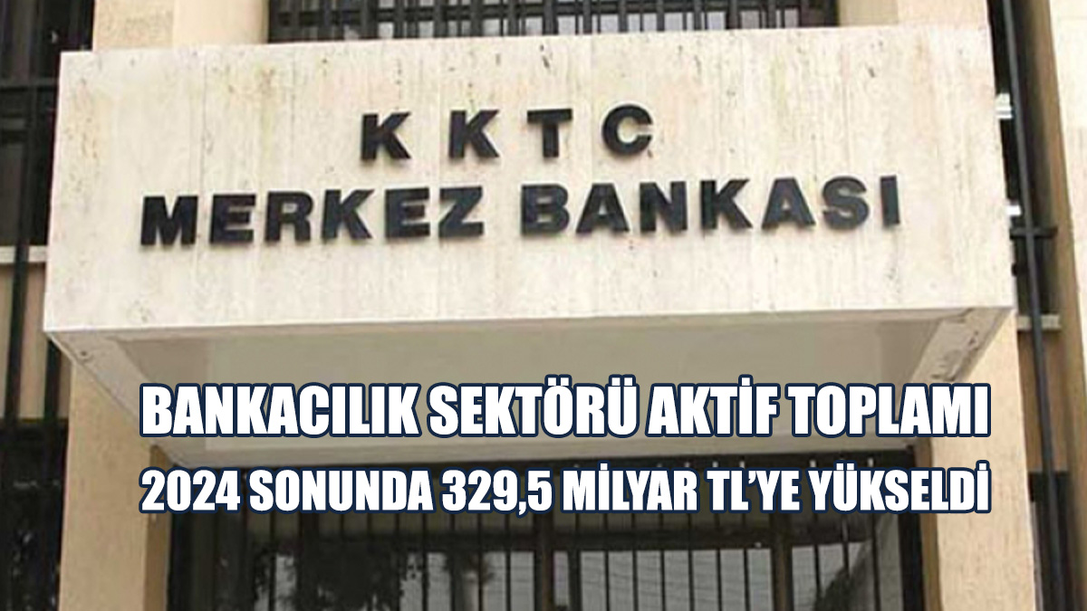 Merkez Bankası, 2024 Dördüncü Çeyrek Bülteni’ni Yayınladı