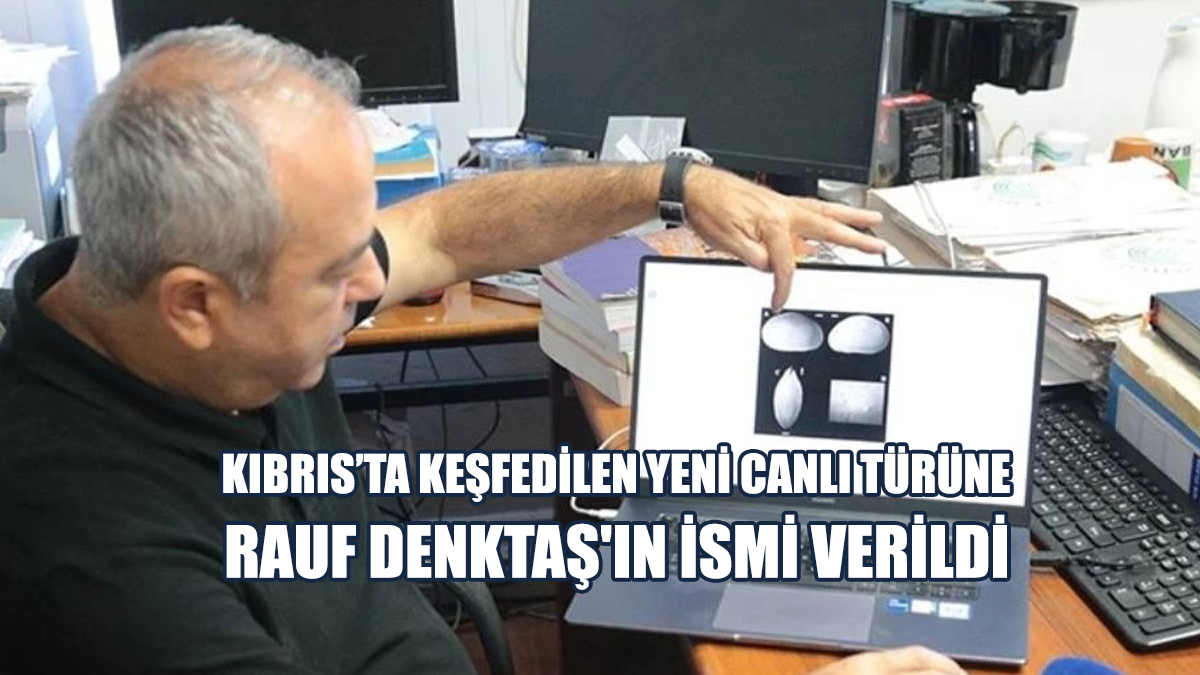 Kıbrıs’ta Keşfedilen Yeni Canlı Türüne Rauf Denktaş'ın İsmi Verildi