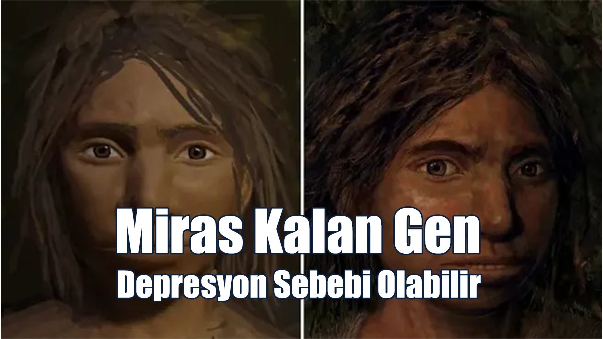 Miras Kalan Gen, Depresyon Sebebi Olabilir