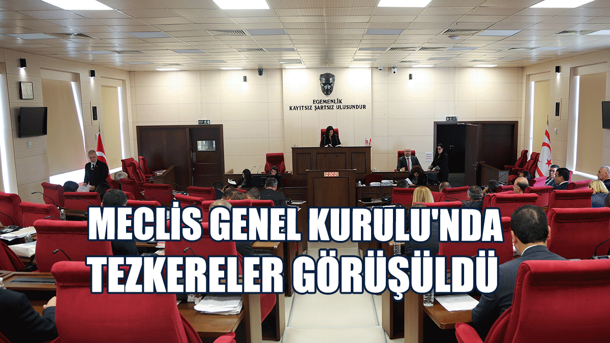 Meclis Genel Kurulu'nda Tezkereler Görüşüldü