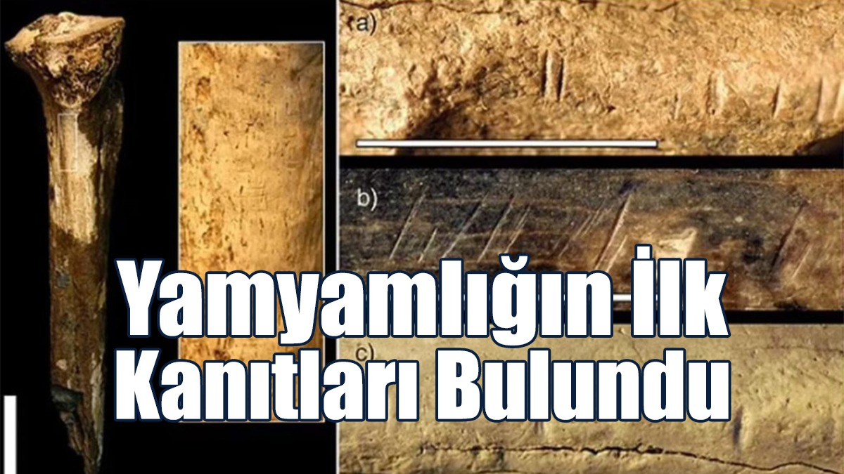 Yamyamlığın İlk Kanıtları Bulundu