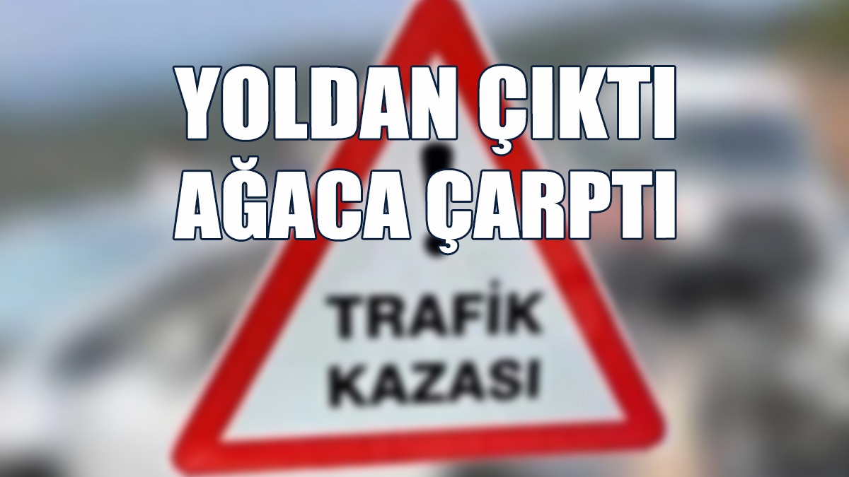 Kazada 2 Kişi Yaralandı