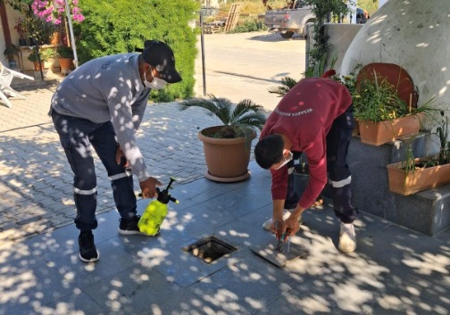 Mesarya Belediyesi haşereyle mücadele çalışmalarını sürdürüyor