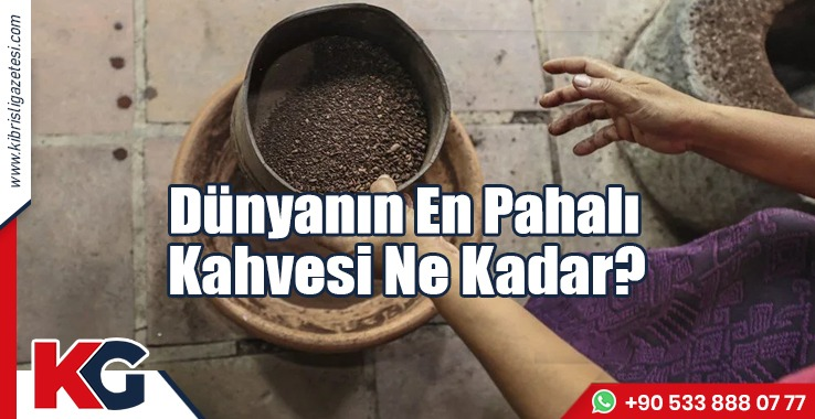 Dünyanın En Pahalı Kahvesi Ne Kadar?