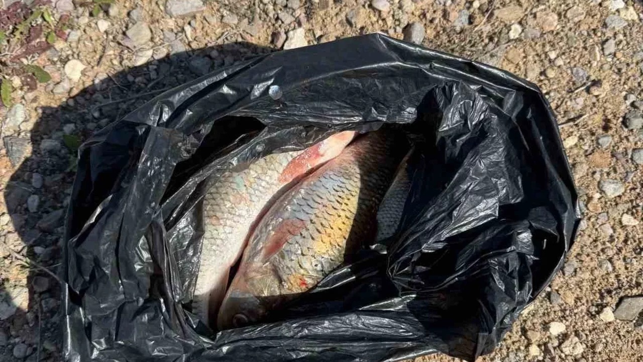 Koruma bölgesinde kaçak av: 60 bin TL ceza