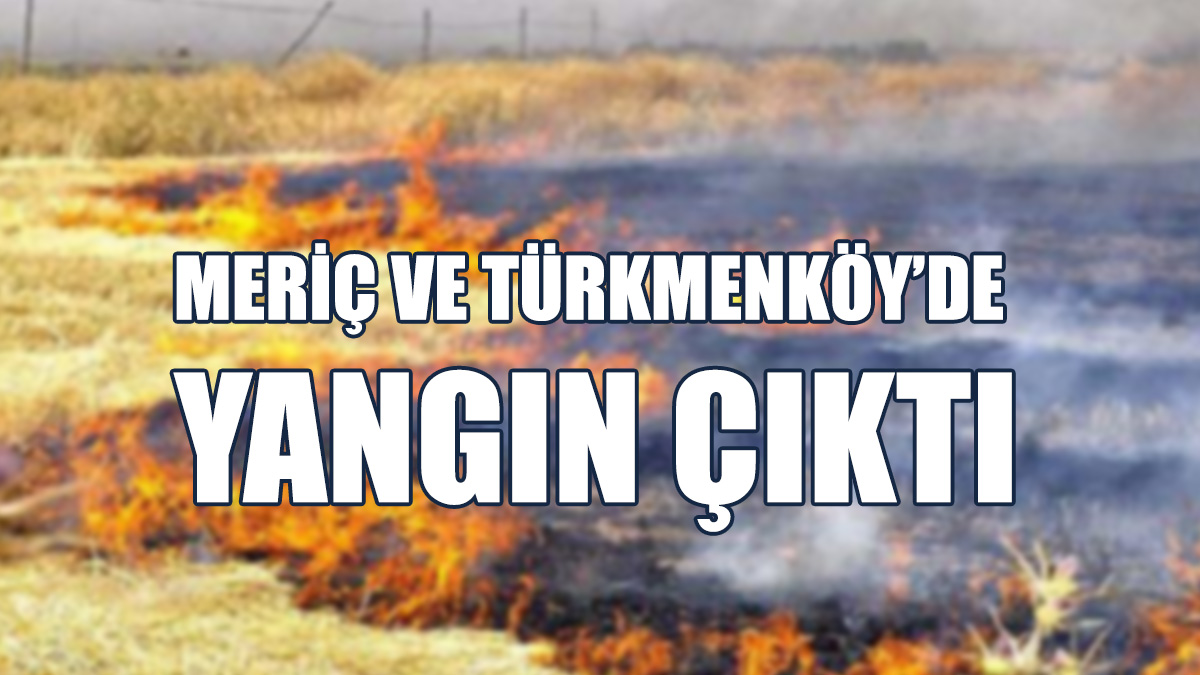 Yangınlarda Anız Ve Balya Yandı