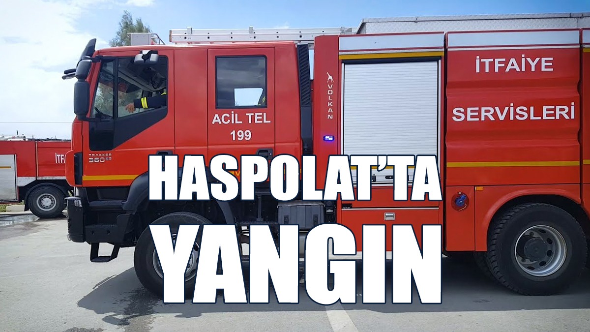 Kuru Ot, Moloz ve  Ağaçlar Yandı