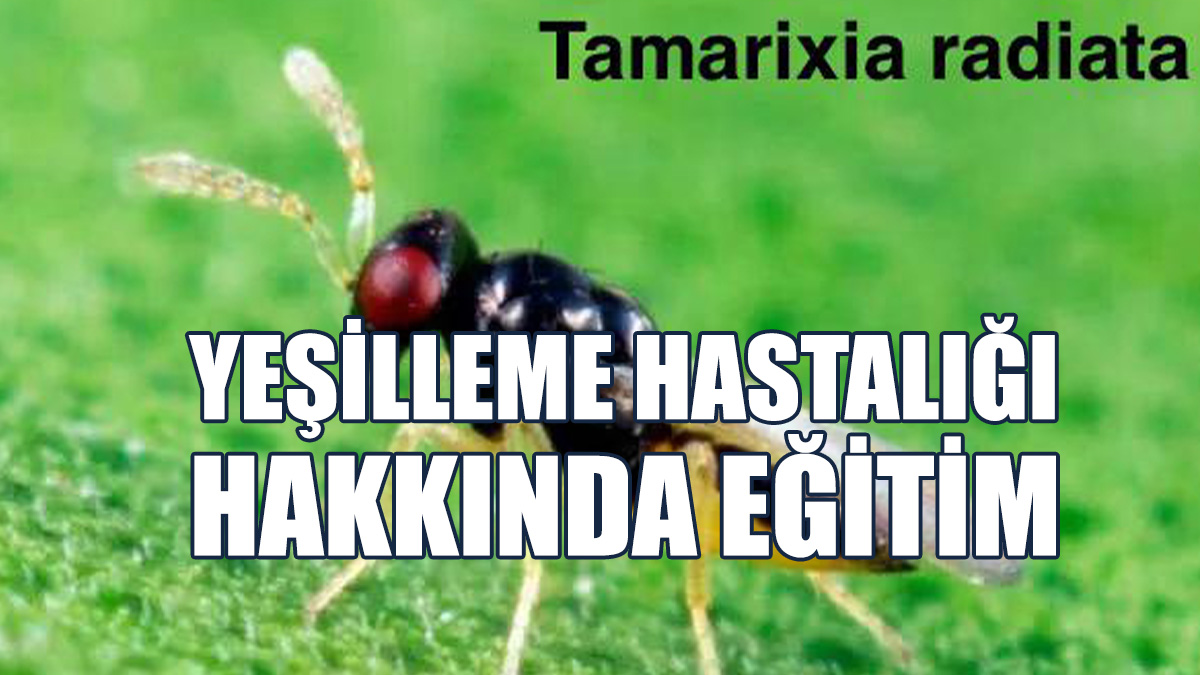 Tarım Ve Doğal Kaynaklar Bakanlığında Seminer Düzenlenecek