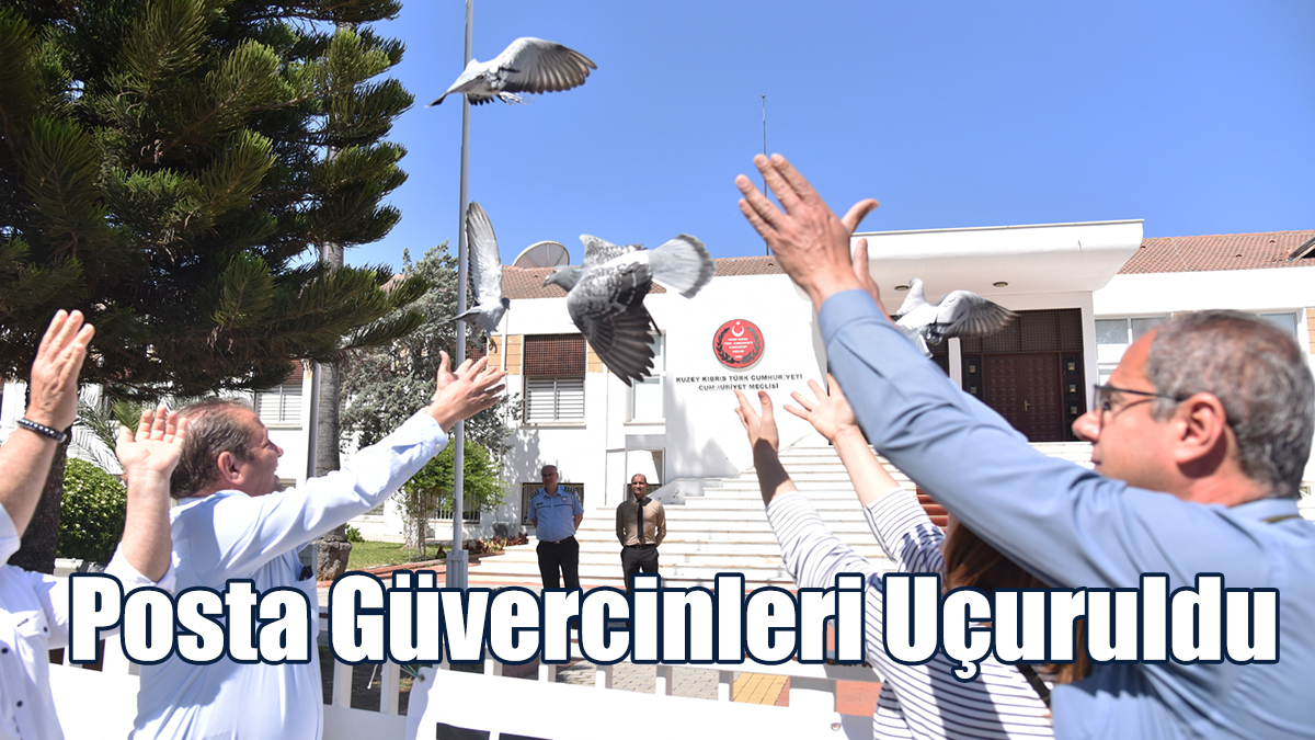 KTGB: Basın ve ifade özgürlüğüne dair kaygımız var