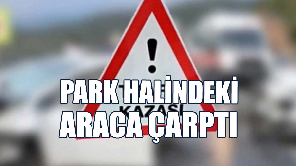 Alkollü Ve Ehliyetsiz Sürücü Kazaya Sebep Oldu