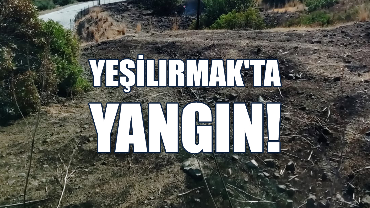 Yeşilırmak'ta Yangın...