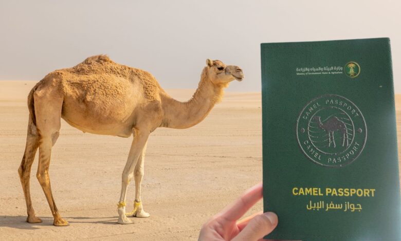 Suudi Arabistan develere kimlik verecek