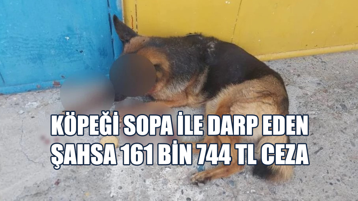 Köpeği Darp Eden Kişi Mahkemeye Çıkarıldı