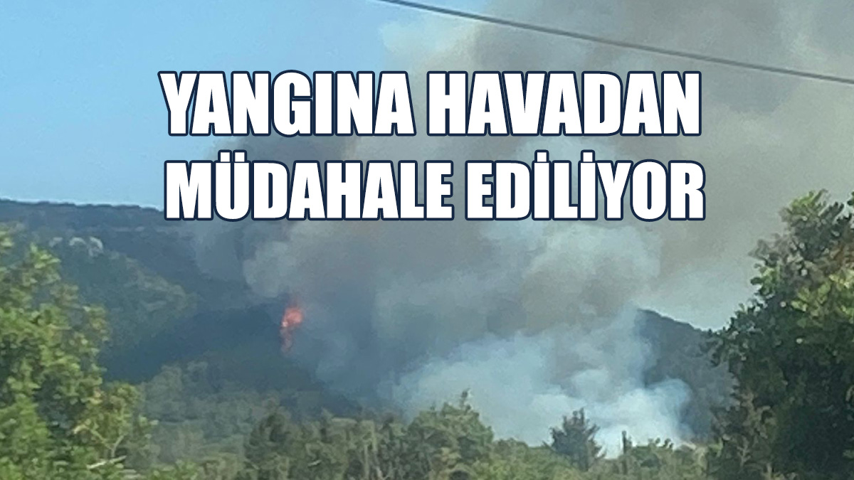 Yangın Söndürme Çalışmaları Sürüyor