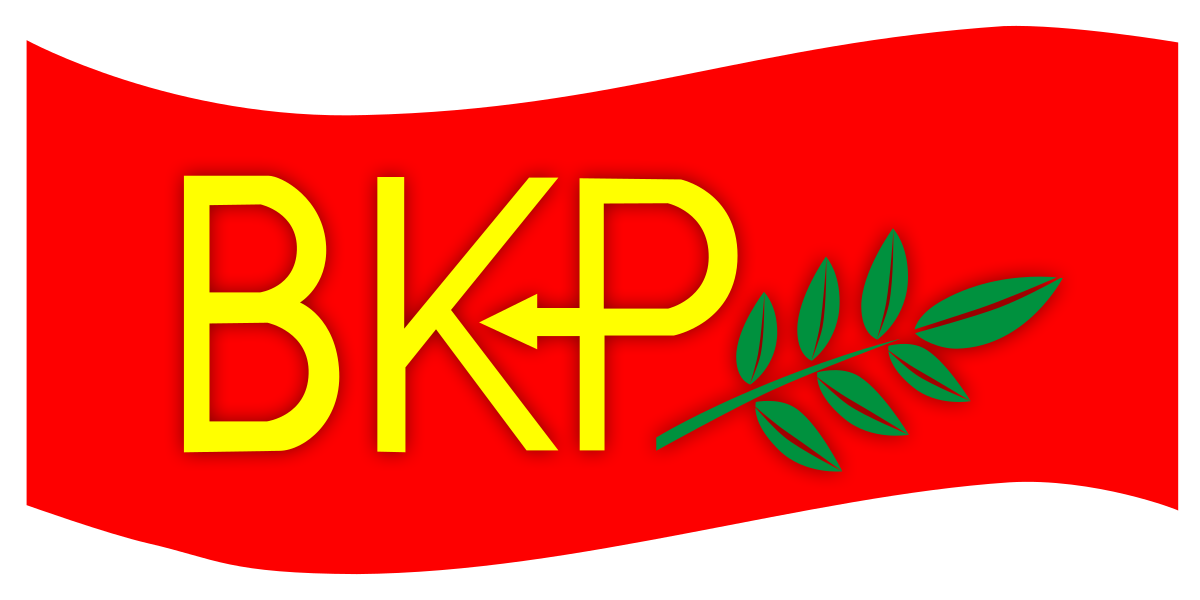 BKP, Guterres’in Kıbrıs ziyaretini değerlendirdi