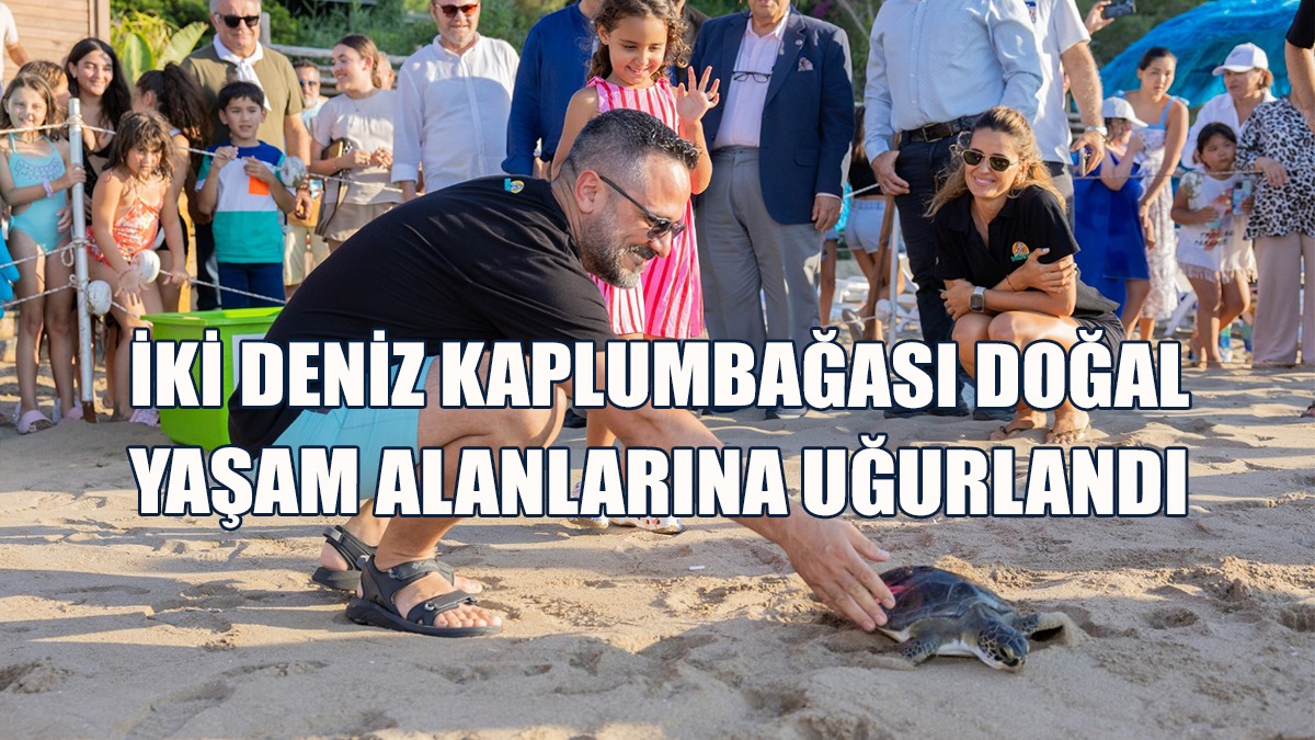 Meritta Deniz Kaplumbağaları Rehabilitasyon Merkezi Çalıştay Düzenledi