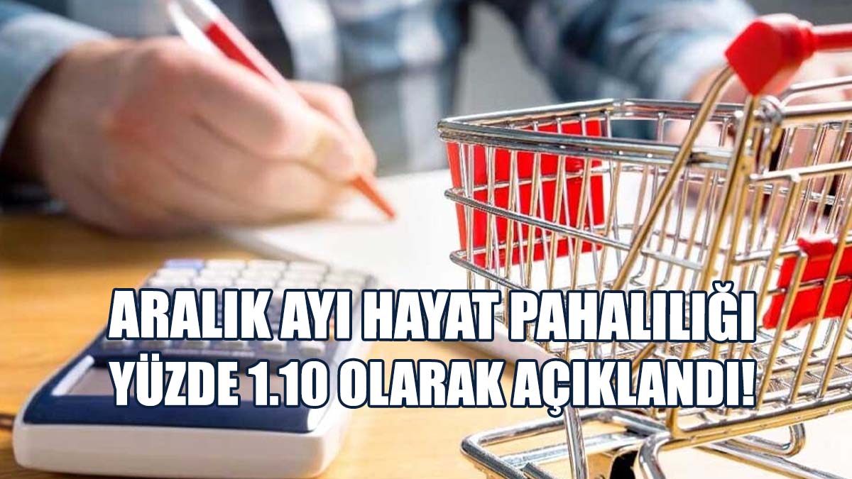 Aralık Ayı Hayat Pahalılığı Oranı Açıklandı..
