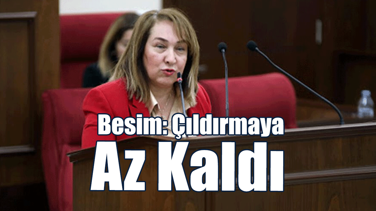 Besim: Çıldırmaya Az Kaldı