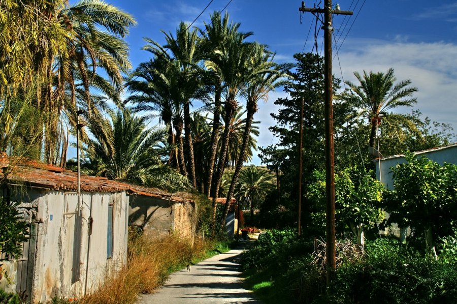 Lefke'de yaşanan alt yapı, çevre ve kent estetiği sorunlarına dikkat çekildi