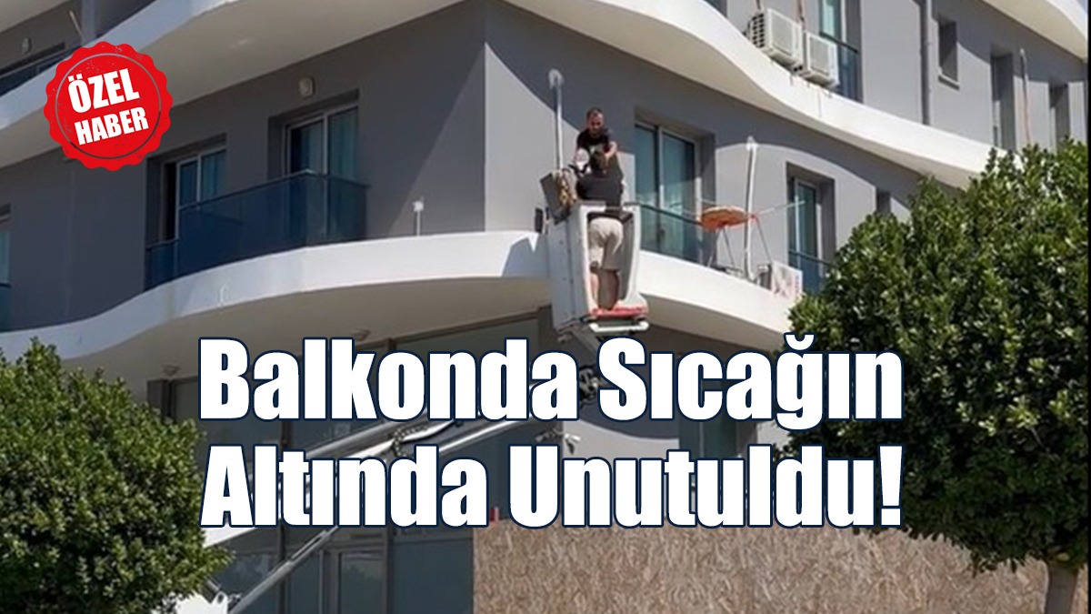 Hayvanseverler ve Belediye Ekipleri Kurtardı