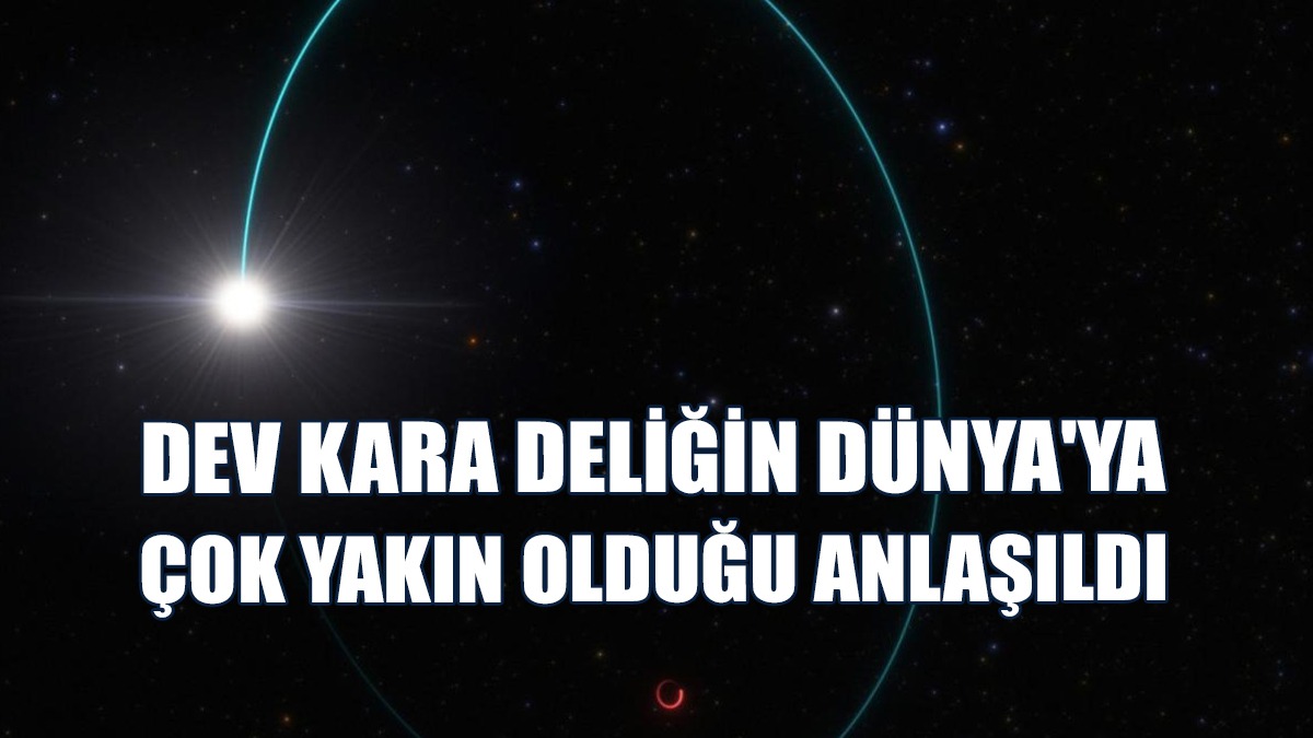 "Araştırmacılık Hayatınızda Bir Kez Yapabileceğiniz Türden Bir Keşif"